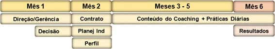 Programação do Coaching Executivo