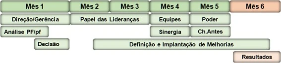 Programação do Desenvolvimento Gerencial